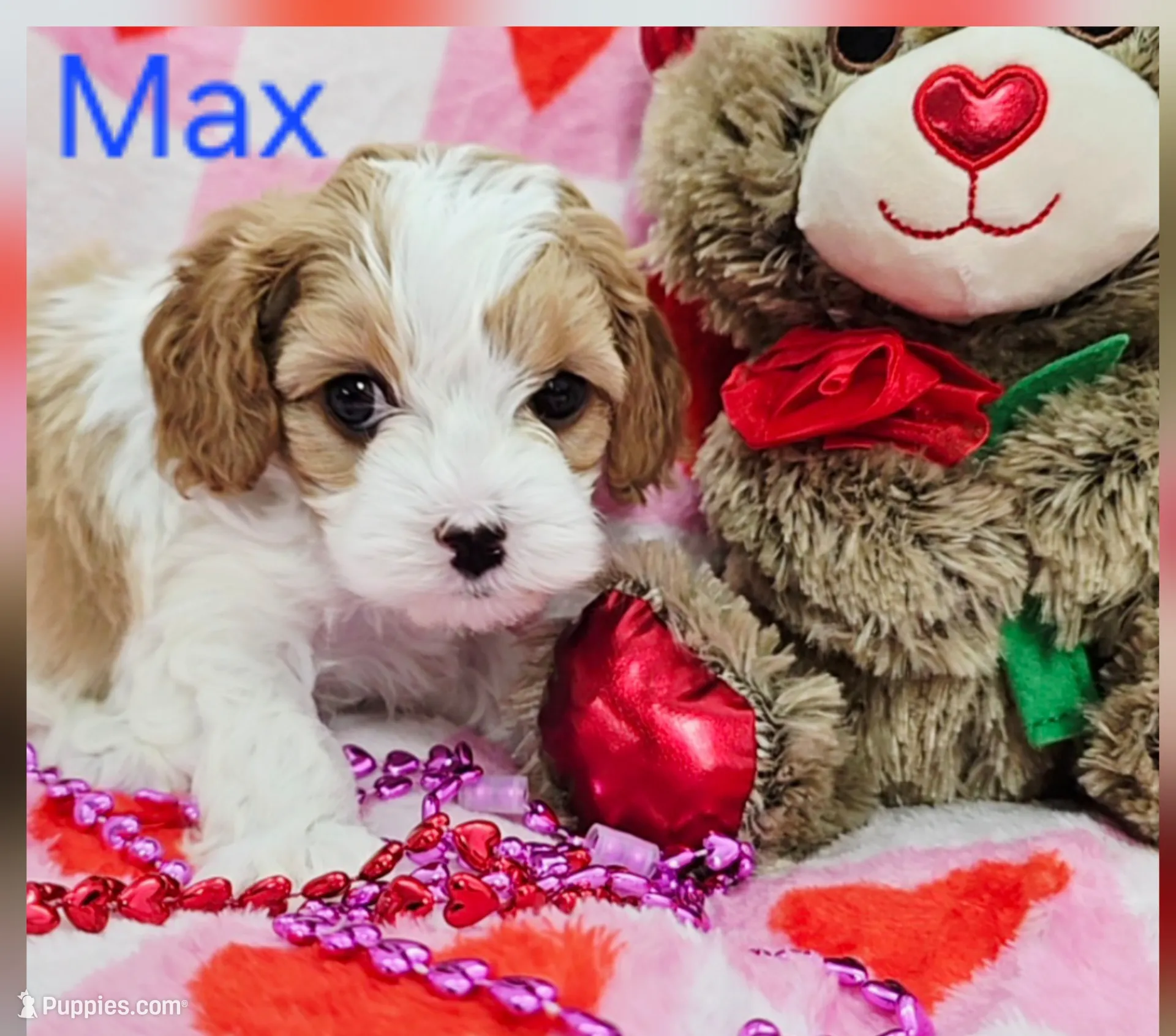 Max