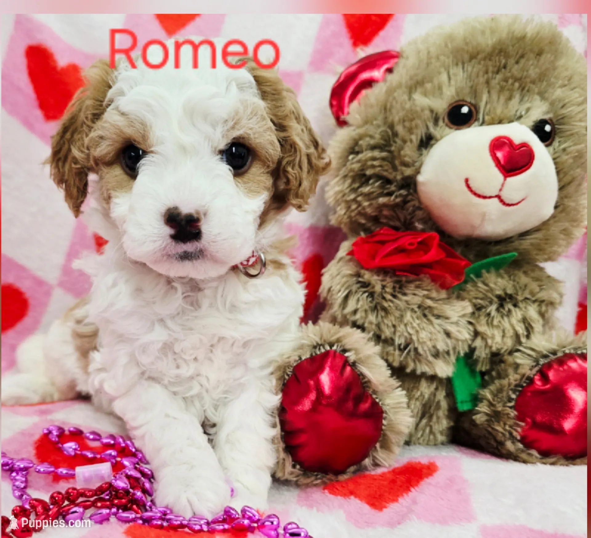 Romeo