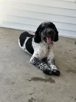 processed/264069ff-c8b7-4d01-a544-0849259842d2/facility/0d7812dc-7b46-4075-a875-eafa07941b4c