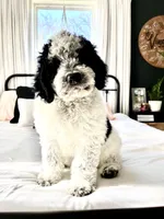 processed/264069ff-c8b7-4d01-a544-0849259842d2/facility/6ab51cb5-3a8f-4d9f-9f5a-5038a8377e98