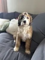 processed/264069ff-c8b7-4d01-a544-0849259842d2/facility/9f5bd9ba-66e5-4cbc-aecb-ae05774f069e