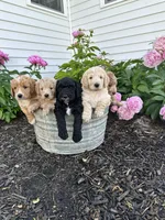 processed/264069ff-c8b7-4d01-a544-0849259842d2/facility/c57cd005-dd9a-406b-add6-bbac96755351