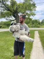 processed/264069ff-c8b7-4d01-a544-0849259842d2/facility/d5822d5a-ac69-4b05-be60-8950aa921b39