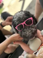 processed/264069ff-c8b7-4d01-a544-0849259842d2/facility/e2bdda7c-d540-4db4-8997-1073b198c096