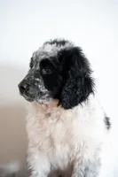 processed/264069ff-c8b7-4d01-a544-0849259842d2/listing/1e3db628-6a92-4086-9d81-2eb566634f39/00fdf760-3d90-44fe-b58b-7e8fd5525eb2