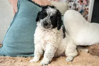 processed/264069ff-c8b7-4d01-a544-0849259842d2/listing/1e3db628-6a92-4086-9d81-2eb566634f39/2ecacc5c-d846-4e06-9bfd-3654836ab185