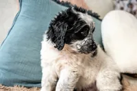 processed/264069ff-c8b7-4d01-a544-0849259842d2/listing/1e3db628-6a92-4086-9d81-2eb566634f39/511b1388-81fd-463f-8744-0b33c6f1839b