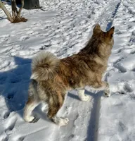 processed/26491885-29ea-490f-8651-56aa4fcbeacd/listing/2c659eed-893b-4ca9-b1b9-32799488049c/461df9a3-ff7d-4470-a01b-a85bf1711e3f