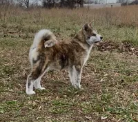 processed/26491885-29ea-490f-8651-56aa4fcbeacd/listing/2c659eed-893b-4ca9-b1b9-32799488049c/5ff73b62-c59f-446e-b1f0-bb2bae0719c5