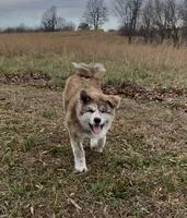 processed/26491885-29ea-490f-8651-56aa4fcbeacd/listing/2c659eed-893b-4ca9-b1b9-32799488049c/998040fb-c5a7-491c-8309-c515c3bb3454