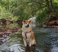 processed/26491885-29ea-490f-8651-56aa4fcbeacd/listing/2c659eed-893b-4ca9-b1b9-32799488049c/9c4cd6a3-ed47-4a0b-aff1-edcd00a09e2d