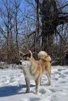 processed/26491885-29ea-490f-8651-56aa4fcbeacd/listing/2c659eed-893b-4ca9-b1b9-32799488049c/bdadc9c1-14e9-4252-94b0-2b0874b64fc4