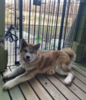 processed/26491885-29ea-490f-8651-56aa4fcbeacd/listing/2c659eed-893b-4ca9-b1b9-32799488049c/faca2ee7-3ebd-48e0-8c53-6f3d429f33d2