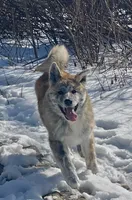 processed/26491885-29ea-490f-8651-56aa4fcbeacd/listing/656a785b-1d96-4412-92b5-c35f830589b1/c46f12d5-9292-4085-bd86-c6e4a8a32338