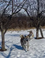 processed/26491885-29ea-490f-8651-56aa4fcbeacd/listing/656a785b-1d96-4412-92b5-c35f830589b1/d30afcd1-7968-4030-9960-30f1bc4e6e96