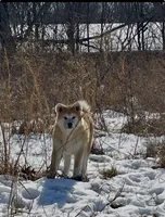 processed/26491885-29ea-490f-8651-56aa4fcbeacd/listing/cf0b5509-9550-45f8-b326-be2404271c53/2abea84b-38cf-45d5-abc9-587dedc95ffd