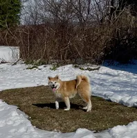 processed/26491885-29ea-490f-8651-56aa4fcbeacd/listing/cf0b5509-9550-45f8-b326-be2404271c53/7fe540f5-171e-4fa9-a1a1-d29f3a298ea0