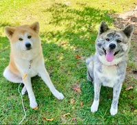 processed/26491885-29ea-490f-8651-56aa4fcbeacd/listing/cf0b5509-9550-45f8-b326-be2404271c53/97b46bd8-a273-4150-b32b-bf21b0bc5e32