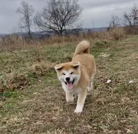 processed/26491885-29ea-490f-8651-56aa4fcbeacd/listing/cf0b5509-9550-45f8-b326-be2404271c53/dc5b7dbc-83b3-441d-bb83-d0e98193a4bb