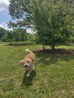 processed/26491885-29ea-490f-8651-56aa4fcbeacd/listing/cf0b5509-9550-45f8-b326-be2404271c53/ee0c85f6-abc5-43f1-9b1a-6086d93f59f5