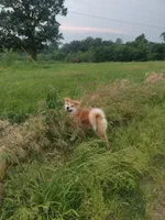 processed/26491885-29ea-490f-8651-56aa4fcbeacd/listing/cf0b5509-9550-45f8-b326-be2404271c53/eef19e44-f2ac-4cbc-8b3e-399a0d069805