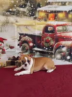 processed/264e40c8-4e88-44a4-a299-8eb7902b834a/listing/41dfbc90-0b4c-4fe7-92f8-3fec31ff2d96/09254995-b4b9-43c7-a339-f063ada24fa7