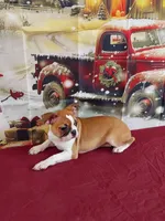 processed/264e40c8-4e88-44a4-a299-8eb7902b834a/listing/41dfbc90-0b4c-4fe7-92f8-3fec31ff2d96/e7f06073-6964-4285-923f-da6a9ca04546