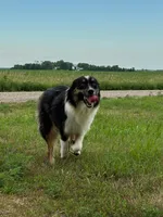 processed/2654467e-eb86-487d-a19e-bb5375dff249/listing/79ca6d0e-da74-444d-857d-0c8c9befcbaa/87a37b99-c2f1-4759-bf38-82356392a0a8