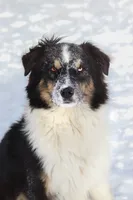 processed/2654467e-eb86-487d-a19e-bb5375dff249/listing/79ca6d0e-da74-444d-857d-0c8c9befcbaa/db6c192d-5dc5-4d76-9630-6a00a1c59147