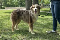 processed/2654467e-eb86-487d-a19e-bb5375dff249/listing/a0bfff75-b236-4b8c-87d0-72abcb6b2c95/def22f6a-5152-4424-badf-ede0c6339e5a