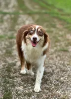 processed/2654467e-eb86-487d-a19e-bb5375dff249/listing/d622e3c1-bd69-4772-bc02-0bcdcc200c3f/2adf9de1-46b7-4081-a9aa-cf9fb9fd4d56