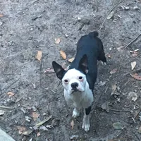 processed/265462c9-4e99-4f88-9843-6bd835cdcddf/facility/27f8a8da-20d3-490b-941d-1b33e6a8b5cf