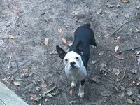 processed/265462c9-4e99-4f88-9843-6bd835cdcddf/facility/27f8a8da-20d3-490b-941d-1b33e6a8b5cf