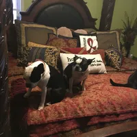 processed/265462c9-4e99-4f88-9843-6bd835cdcddf/facility/29db0d6c-378f-42a9-b21d-16fa53dee1f0