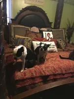 processed/265462c9-4e99-4f88-9843-6bd835cdcddf/facility/29db0d6c-378f-42a9-b21d-16fa53dee1f0