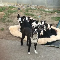 processed/265462c9-4e99-4f88-9843-6bd835cdcddf/facility/2b734ce4-00ee-40c8-aeb8-378d2a8198f7