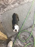 processed/265462c9-4e99-4f88-9843-6bd835cdcddf/facility/2e60d166-3a43-48f2-8bb0-465d1f13788e