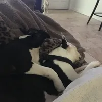 processed/265462c9-4e99-4f88-9843-6bd835cdcddf/facility/402d224c-6f43-4275-b33f-f40d69d7cf5a