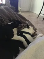 processed/265462c9-4e99-4f88-9843-6bd835cdcddf/facility/402d224c-6f43-4275-b33f-f40d69d7cf5a