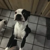 processed/265462c9-4e99-4f88-9843-6bd835cdcddf/facility/40bba77a-ef94-45a4-97f6-7072c787f7f3