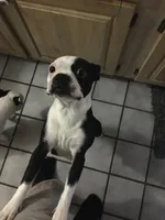 processed/265462c9-4e99-4f88-9843-6bd835cdcddf/facility/40bba77a-ef94-45a4-97f6-7072c787f7f3