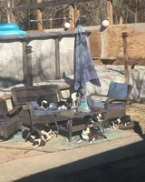 processed/265462c9-4e99-4f88-9843-6bd835cdcddf/facility/44981307-abc3-449d-9ce5-dc4f60bcd85b