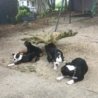 processed/265462c9-4e99-4f88-9843-6bd835cdcddf/facility/82020a10-daf3-443c-a911-2f1c2452eee0