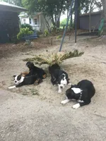 processed/265462c9-4e99-4f88-9843-6bd835cdcddf/facility/82020a10-daf3-443c-a911-2f1c2452eee0