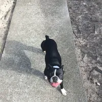 processed/265462c9-4e99-4f88-9843-6bd835cdcddf/facility/a64c7657-46ec-4332-a1f4-69cc60c7bfd2