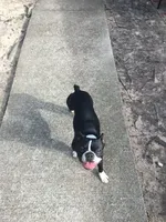 processed/265462c9-4e99-4f88-9843-6bd835cdcddf/facility/a64c7657-46ec-4332-a1f4-69cc60c7bfd2