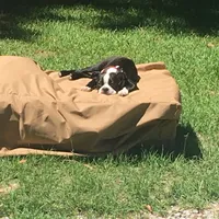 processed/265462c9-4e99-4f88-9843-6bd835cdcddf/facility/c1e72cf9-64bc-482d-a1ab-9ff60834527a