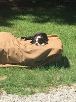 processed/265462c9-4e99-4f88-9843-6bd835cdcddf/facility/c1e72cf9-64bc-482d-a1ab-9ff60834527a