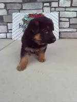 processed/26686957-4a40-4792-beb8-89184d7cf969/listing/6fe14dea-8861-44a1-b68a-0d42143b4d75/ffd9a667-cf37-4c71-8ee2-085f8ad1ee42