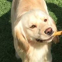 processed/26754e53-23eb-4ff5-b533-296d93aa1cf2/facility/234bbdfa-9a14-4563-bd92-7fef6db5251e